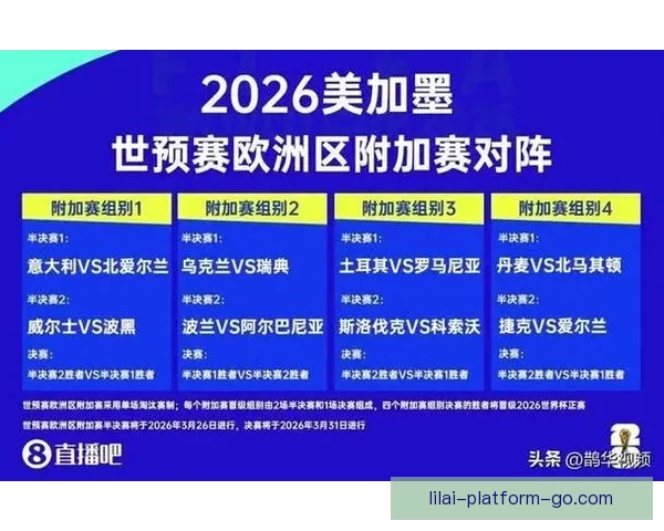 2026年世界杯足球赛盛大开启 全球32支球队争夺荣耀与历史荣耀